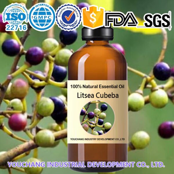 100% Pure Litsea Cubeba Essential Oil
