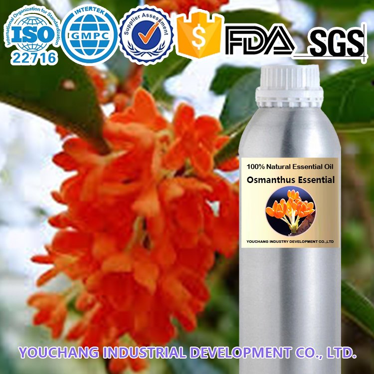 Pure Osmanthus Absolute Oil Luxury Perfumery Skincare - Image 2