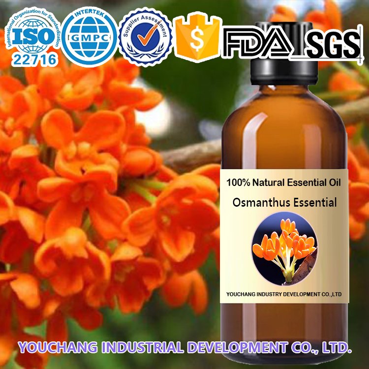 100% Pure Osmanthus Absolute Oil