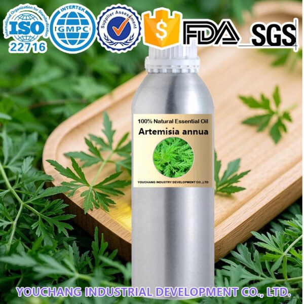 100% Pure Natural Artemisia Annua Essential Oil Immune Support Stress Relief - Image 2