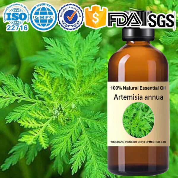 Artemisia Annua Natural Essential Oils