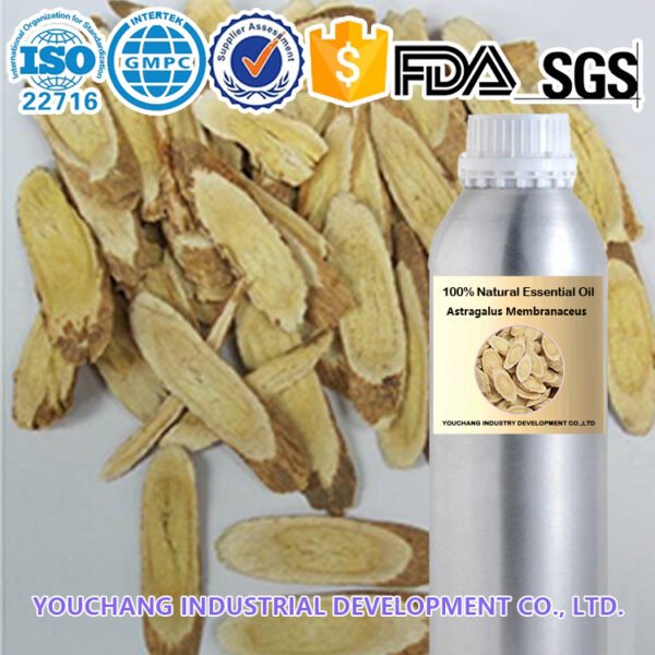 Astragalus Root CO₂ Oil