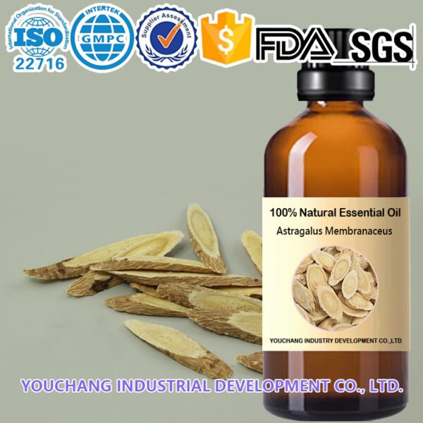 Astragalus Root CO₂ Oil