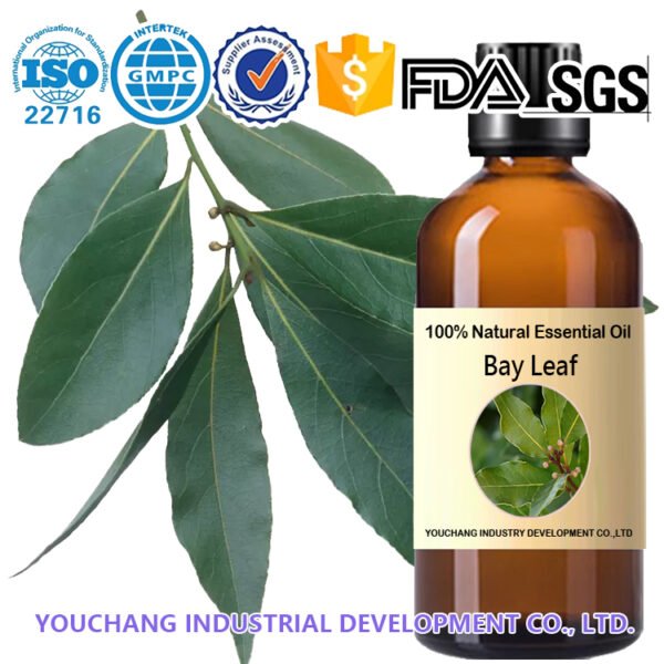 Bay Leaf Essential Oils