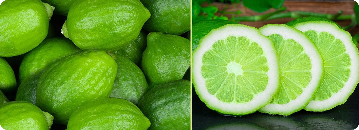 Limette Essential Oil