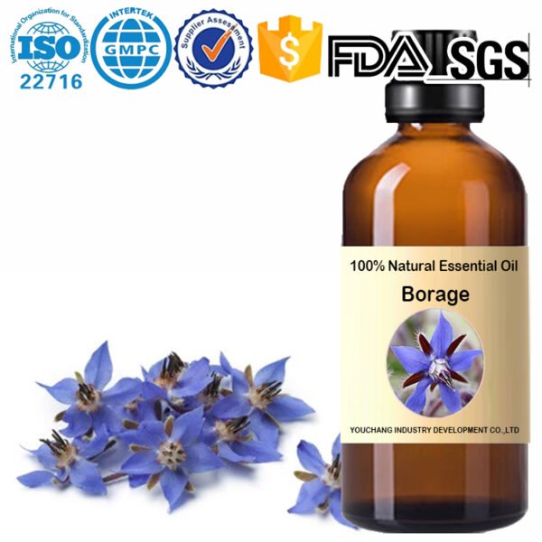 Borage Top Supplier of Bulk Essential Oils