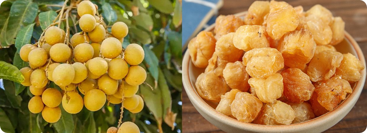 Bulk Macerated Longan Fruit Concrete Oil 