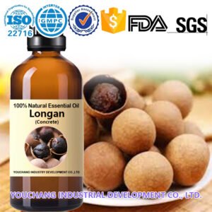Bulk Macerated Longan Fruit Concrete Oil