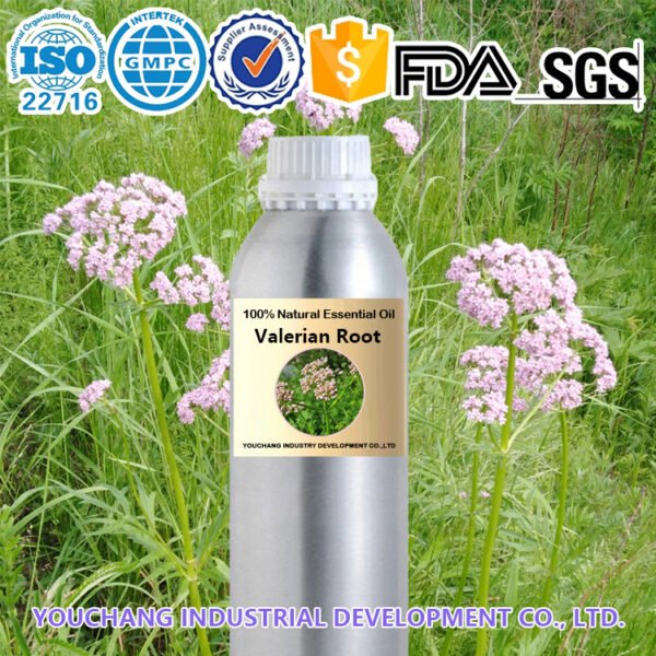 Bulk Valerian Root Essential Oil 01