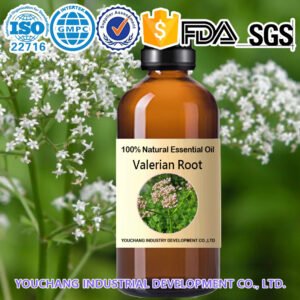 Bulk Valerian Root Essential Oil