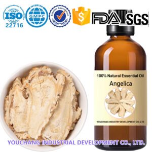 CO₂ Extracted Angelica Root Oil