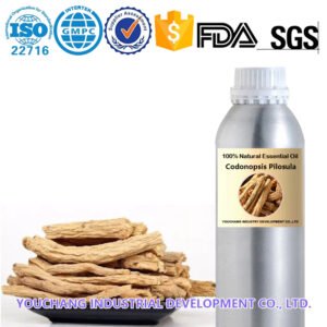 CO₂ Extracted Codonopsis Pilosula Essential Oil