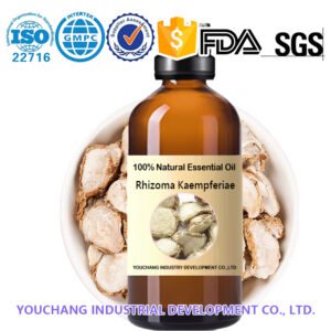 CO₂ ExtractedRhizoma Kaempferiae Oil