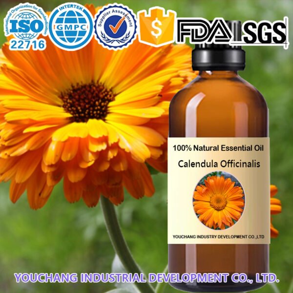 Calendula Officinalis Essential Oil