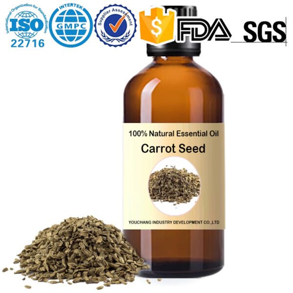 Carrot Seed Essential Oil