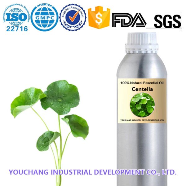 Centella Asiatica Distilled Oil