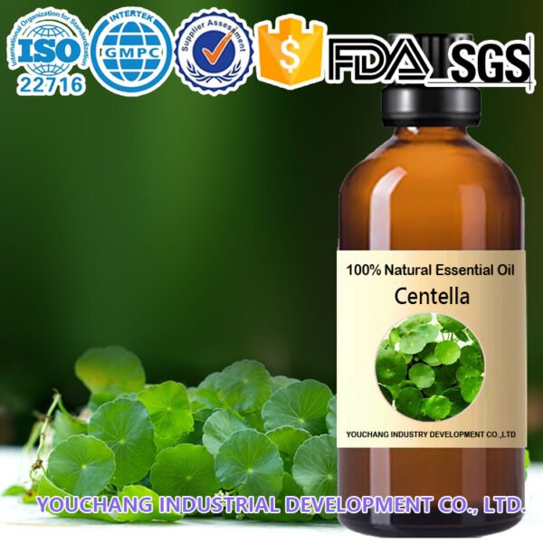 Centella Asiatica Distilled Oil