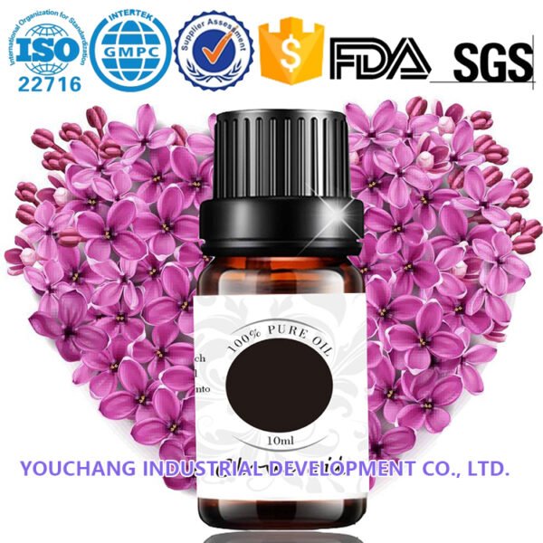 Clove Bud Oil Antibacterial Dental Care Applications - Image 2