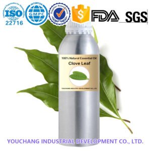 Clove Leaf Essential Oil