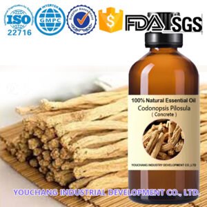 Codonopsis Pilosula Maceration Extract