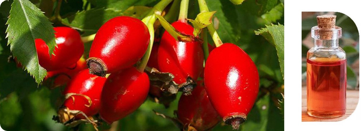 Cold-Pressed Rosehip Oil 