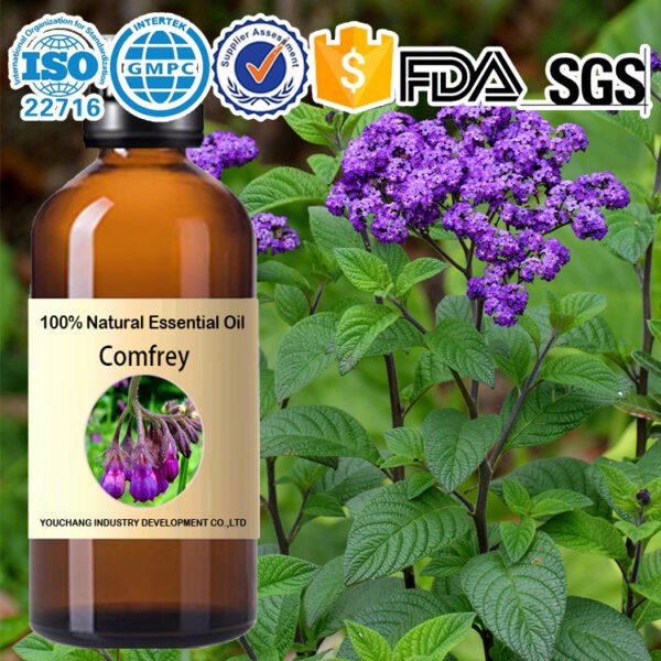 Comfrey Essential Oils