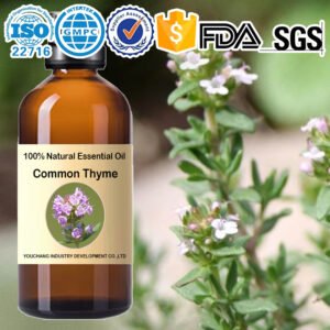 Common Thyme Essential Oil