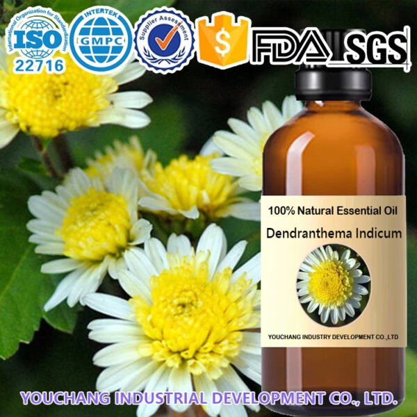 Dendranthema Indicum Essential Oil