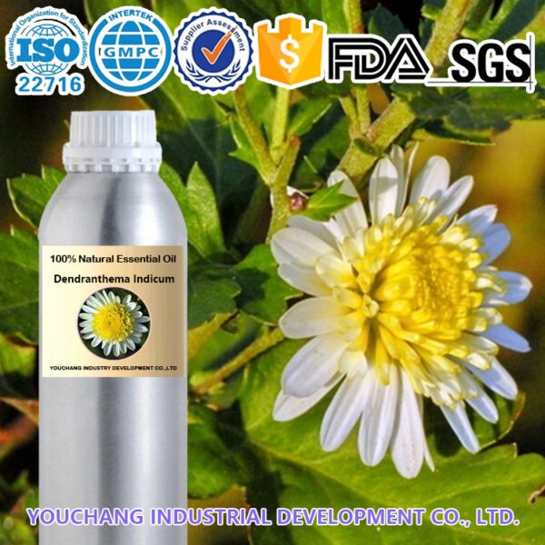 Dendranthema Indicum Essential Oil
