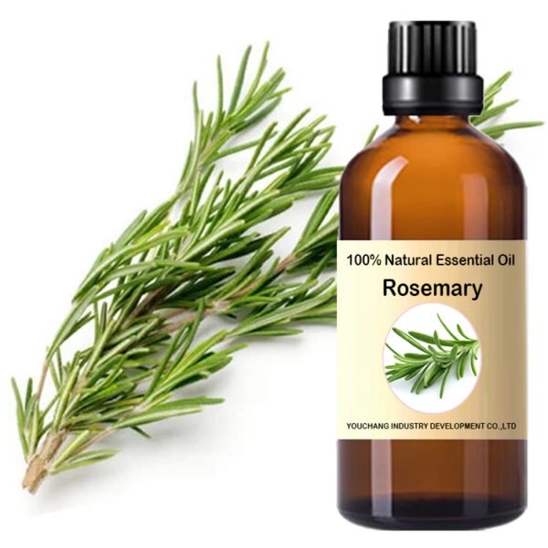 100% Pure & Natural Eucalyptol Rosemary Essential Oil  Fresh Camphorous Aroma Cosmetic Grade - Image 2