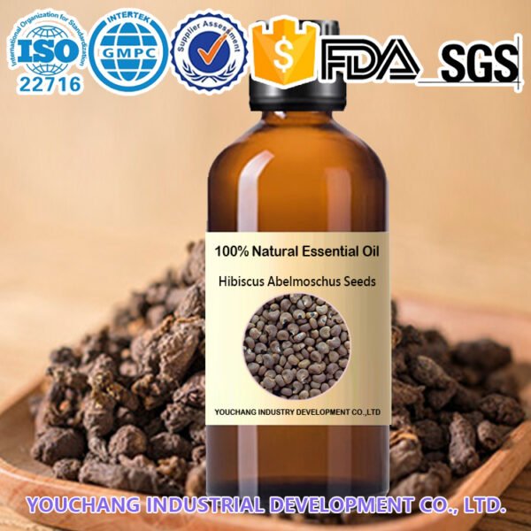 Hibiscus Abelmoschus Seeds Essential Oil