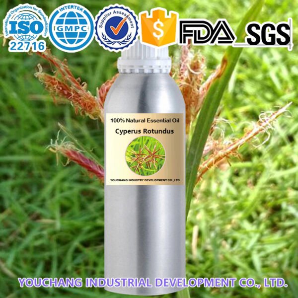 High-Quality Cyperus Rotundus Essential Oils