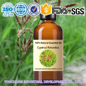 High-Quality Cyperus Rotundus Essential Oils