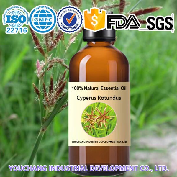 High-Quality Cyperus Rotundus Essential Oils