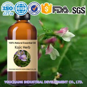 High-Quality Kojic Herb Herbal Oil