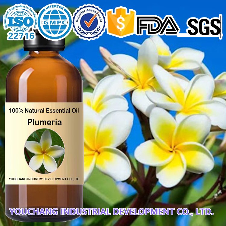 High-Quality Plumeria Essential Oil