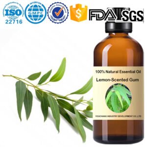 Lemon-Scented Gum Essential Oil
