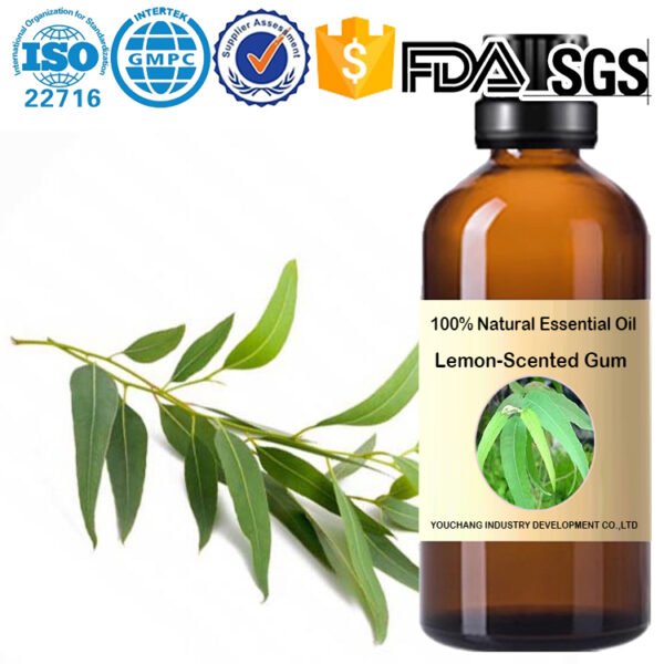Lemon-Scented Gum Essential Oil