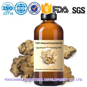 Ligusticum Chuanxiong Hort Essential Oil