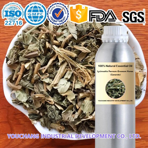 Lysimachia Concrete Perfumery TCM - Image 2