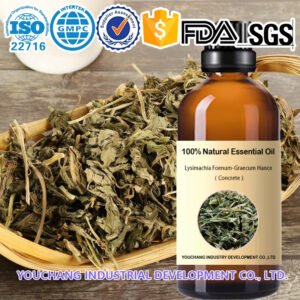 Lysimachia Concrete Oil