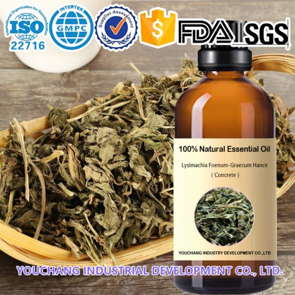 Lysimachia Concrete Oil