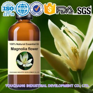 Magnolia Flower Concrete Oil