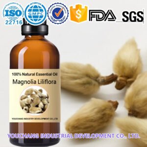Magnolia Liliflora Essential Oil