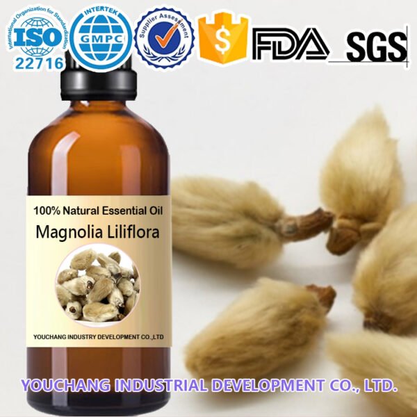 Magnolia Liliflora Essential Oil