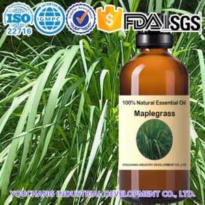 Maplegrass Essential Oil
