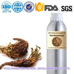 Nardostachys Chinese Herbal Essential Oils