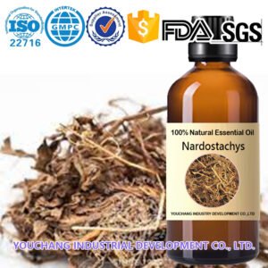 Nardostachys Medicine Essential Oils
