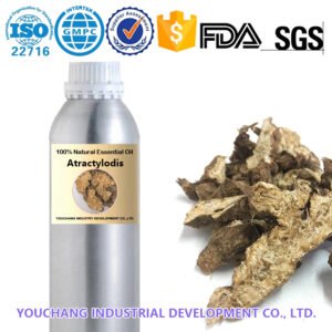 Natural Atractylodes Herbal Essential Oils