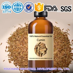 Natural Cumin Spice Essential Oils